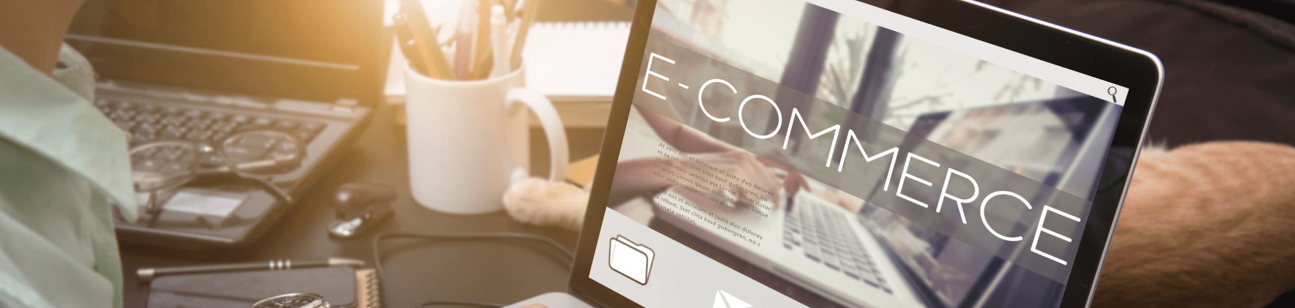 Bfw Weiterbildungen Fachwirt Ecommerce