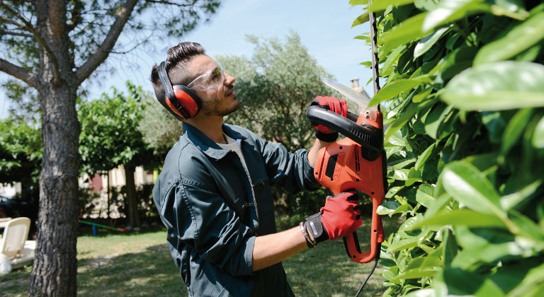 Machen Sie eine Weiterbildung im Bereich Garten- und Landschaftsbau beim bfw.